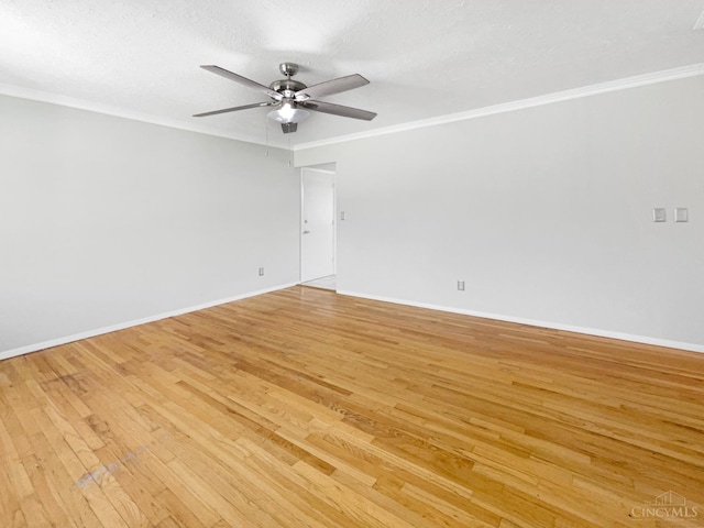 1318 Randomhill Rd, Springfield Twp, OH 45231 - photo 10