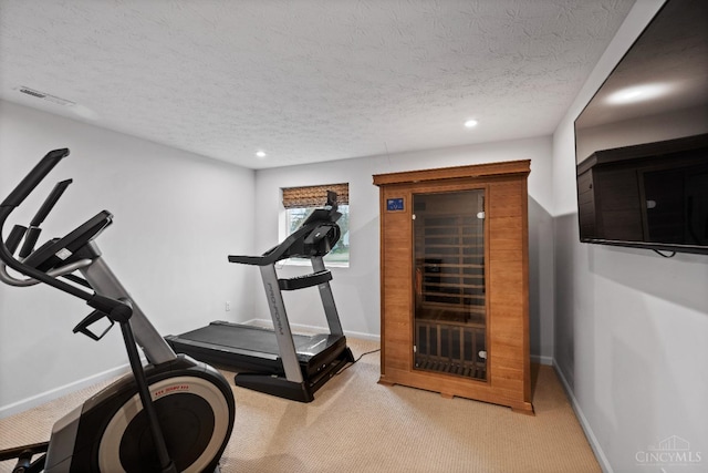 1113 Clover Field Dr, Miami Twp, OH 45140 - workout room featuring a textured ceiling, baseboards, carpet, and visible vents