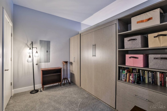 closet with electric panel