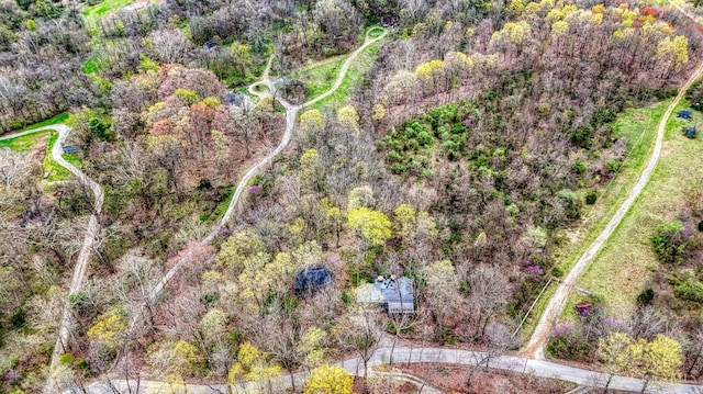drone / aerial view
