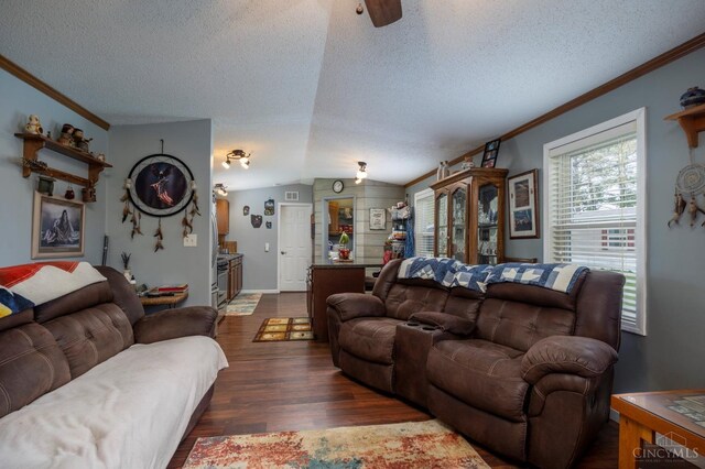 6651 Wizard Of Oz Way, Paint Twp, OH 45133 - living room with lofted ceiling, a textured ceiling, crown molding, and dark wood finished floors