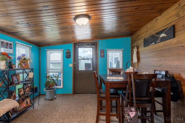 6651 Wizard Of Oz Way, Paint Twp, OH 45133 - dining space with wooden ceiling, carpet flooring, and wooden walls