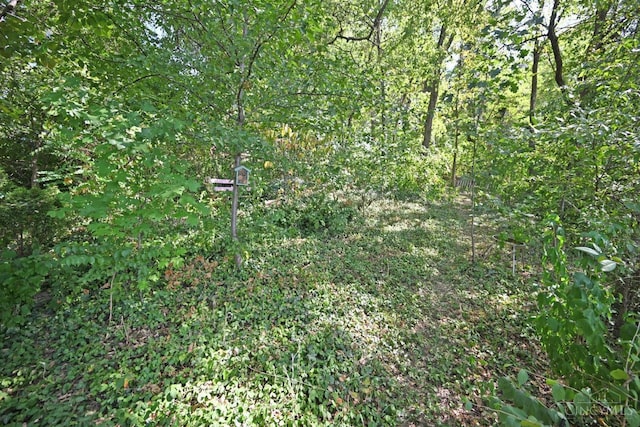 725 Riddle Rd, Cincinnati, OH 45220 - photo 44