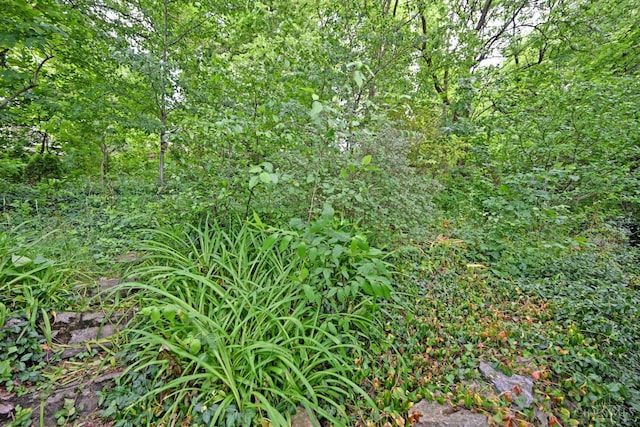 725 Riddle Rd, Cincinnati, OH 45220 - photo 45