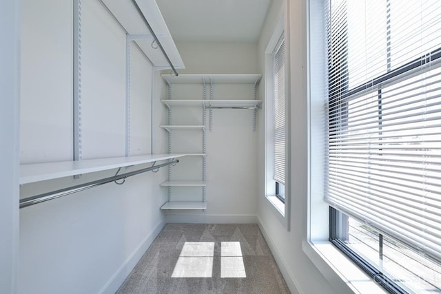 2912 Robertson Ave, Cincinnati, OH 45209 - photo 25