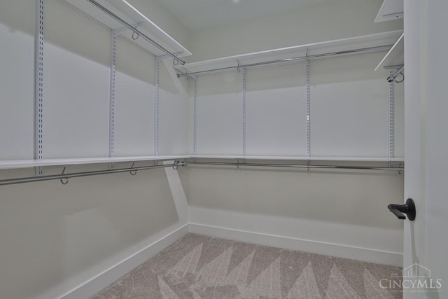 2912 Robertson Ave, Cincinnati, OH 45209 - photo 27