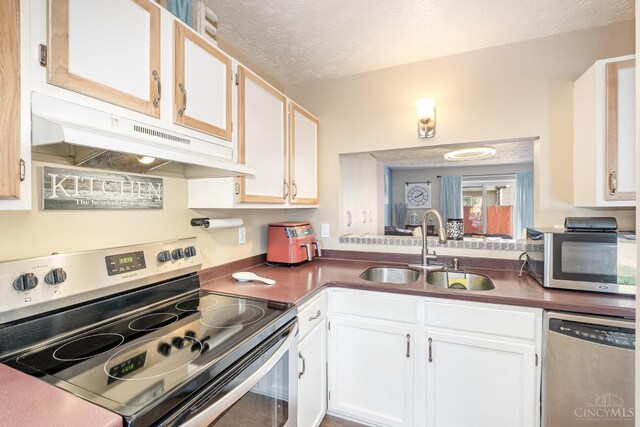 3690 Parfore Ct, Pierce Twp, OH 45245 - kitchen featuring white cabinets, appliances with stainless steel finishes, under cabinet range hood, and a sink