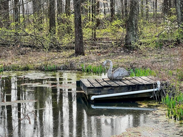 4092 Snowhill Rd, Perry Twp, OH 45118 - view of dock area