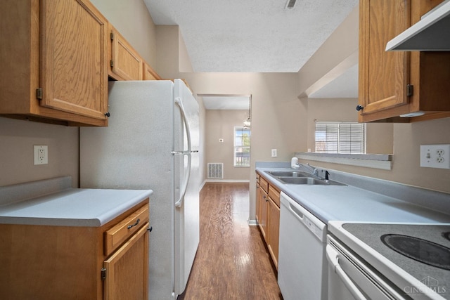kitchen featuring wood finished floors, a sink, white appliances, under cabinet range hood, and visible vents