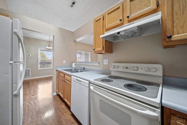 kitchen with a sink, visible vents, white appliances, under cabinet range hood, and dark wood-type flooring