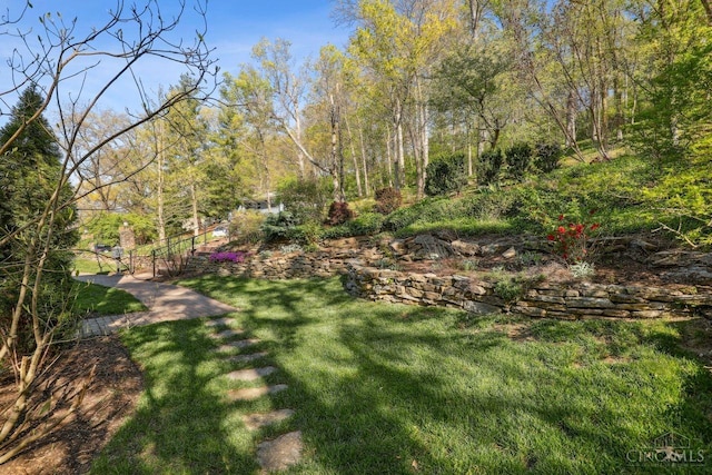 3725 Dogwood Ln, Columbia Twp, OH 45213 - view of green lawn