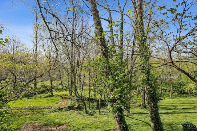 3725 Dogwood Ln, Columbia Twp, OH 45213 - view of wooded area