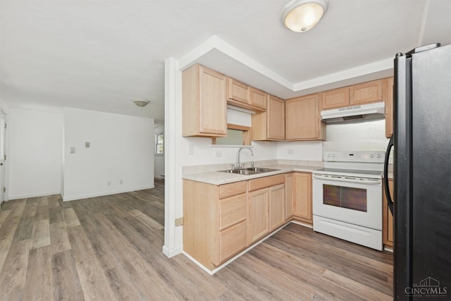 kitchen with a sink, white range with electric stovetop, freestanding refrigerator, under cabinet range hood, and light brown cabinetry