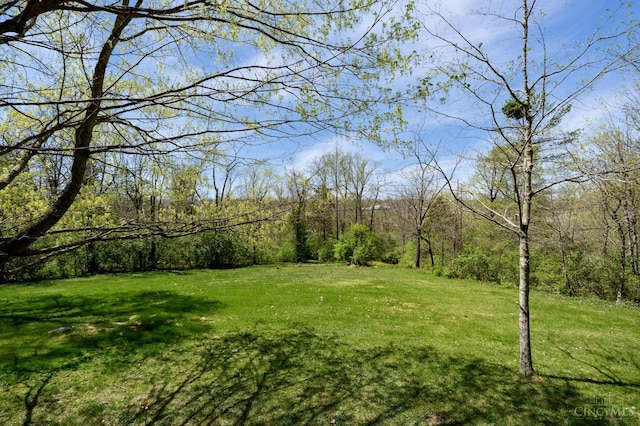 6139 N State Route 48, Clearcreek Twp, OH 45036 - view of grassy yard with a wooded view