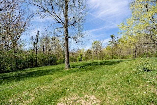 6139 N State Route 48, Clearcreek Twp, OH 45036 - view of green lawn featuring a forest view