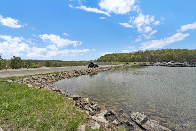 1607 Kato Ln, Marion Twp, OH 43155 - water view with a heavily wooded area