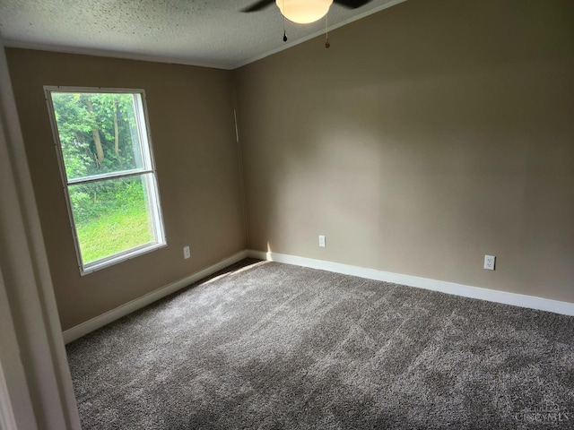107 Elm St, Georgetown, OH 45121 - carpeted empty room featuring healthy amount of natural light, ceiling fan, and a textured ceiling