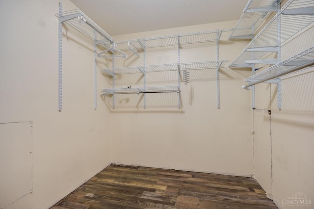 5172 Sheits Rd, Colerain Twp, OH 45251 - walk in closet with dark wood-style flooring