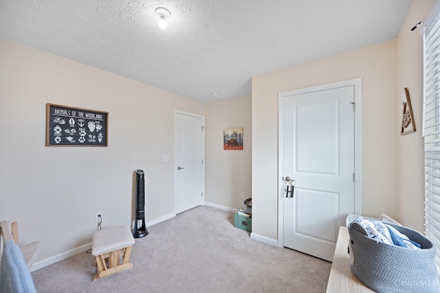 10522 Atterbury Dr, Crosby Twp, OH 45030 - interior space featuring carpet, baseboards, and a textured ceiling