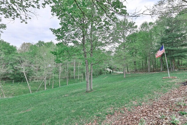 2578 Jenny Lynn Dr, Lawrenceburg, IN 47025 - photo 38