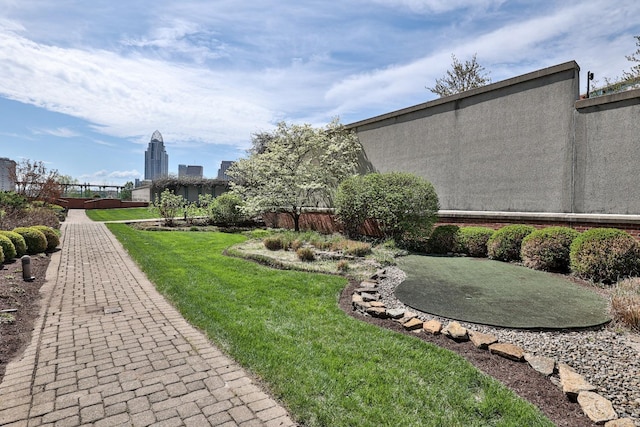 view of yard featuring a patio area
