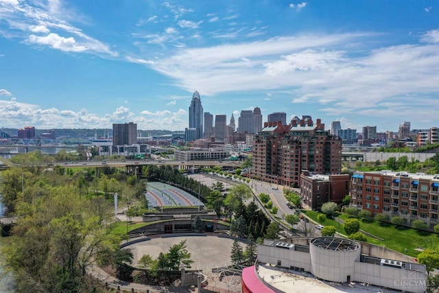 bird's eye view of a skyline view