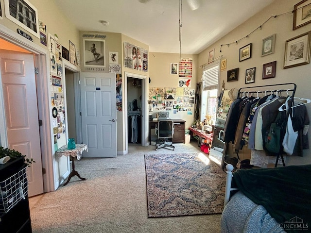 interior space with carpet