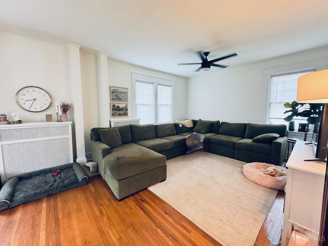 2848 Markbreit Ave, Cincinnati, OH 45209 - living area featuring light wood-style flooring, healthy amount of natural light, and ceiling fan