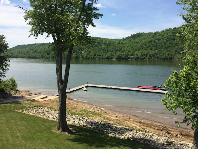 water view with a forest and a dock