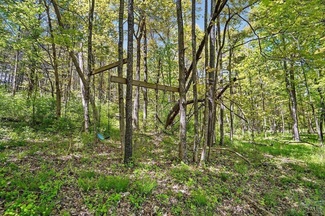 11675 New Biddinger Rd, Harrison Twp, OH 45030 - view of tree filled area