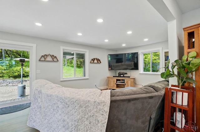 11675 New Biddinger Rd, Harrison Twp, OH 45030 - living room featuring recessed lighting, plenty of natural light, and wood finished floors