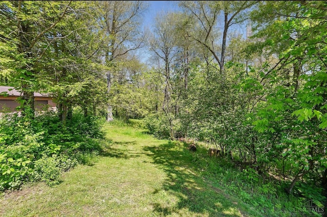 11675 New Biddinger Rd, Harrison Twp, OH 45030 - view of grassy yard