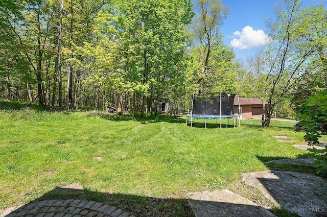 11675 New Biddinger Rd, Harrison Twp, OH 45030 - view of grassy yard featuring a trampoline