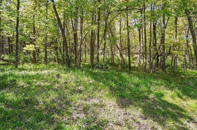 11675 New Biddinger Rd, Harrison Twp, OH 45030 - view of undeveloped land