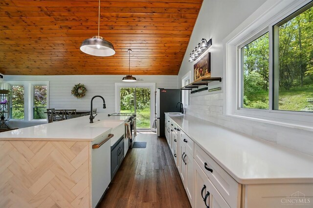 11675 New Biddinger Rd, Harrison Twp, OH 45030 - kitchen featuring plenty of natural light, lofted ceiling, a sink, wooden ceiling, and white cabinets