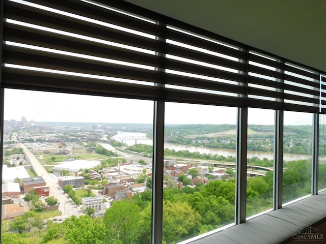 detailed view of a water view and a view of city