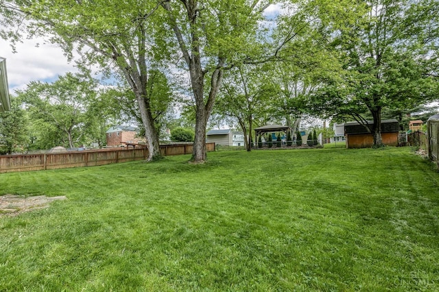 view of yard