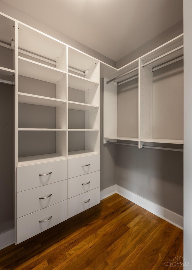 walk in closet featuring dark wood-style floors