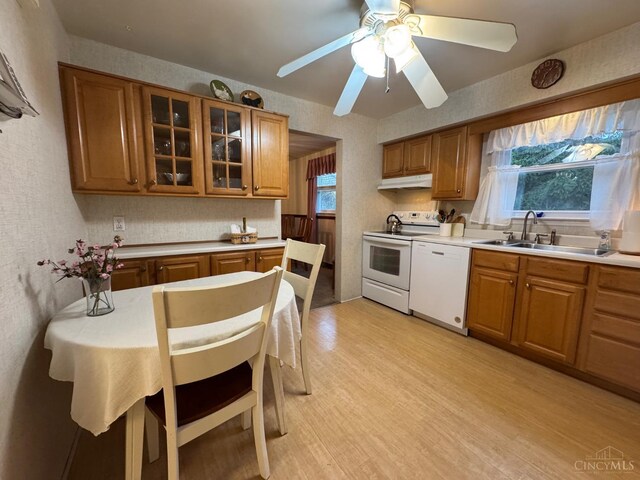 kitchen with white appliances, a sink, under cabinet range hood, light wood-type flooring, and brown cabinetry