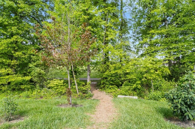 5880 Parkview Ln Unit 303, Miami Twp, OH 45150 - view of yard