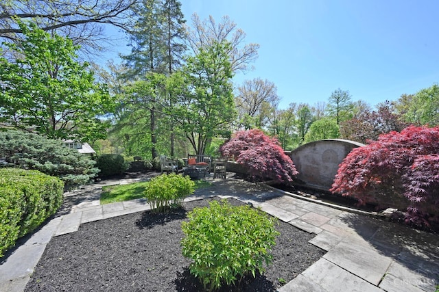 1 Beech Crest Ln, Cincinnati, OH 45206 - view of yard featuring a patio