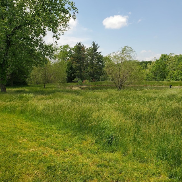 10595 Cozaddale Murdock St, Hamilton Twp, OH 45122 - view of woods