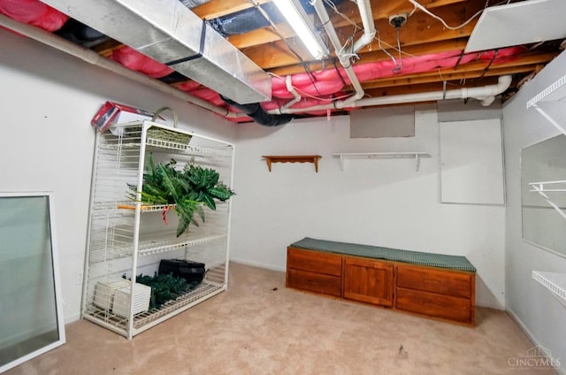 unfinished below grade area with carpet floors