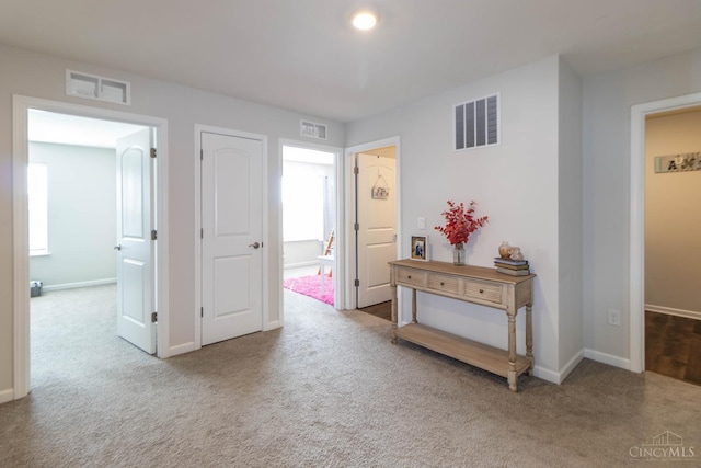 40 Glen Mary Dr, Pierce Twp, OH 45102 - hallway with carpet and baseboards