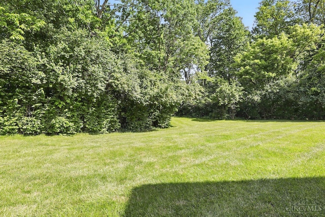 6607 Hearne Rd Unit 90, Green Twp, OH 45248 - view of green lawn