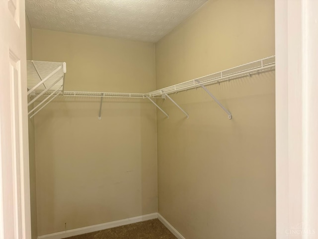 232 Choctaw Cir, Franklin, OH 45005 - spacious closet with dark carpet