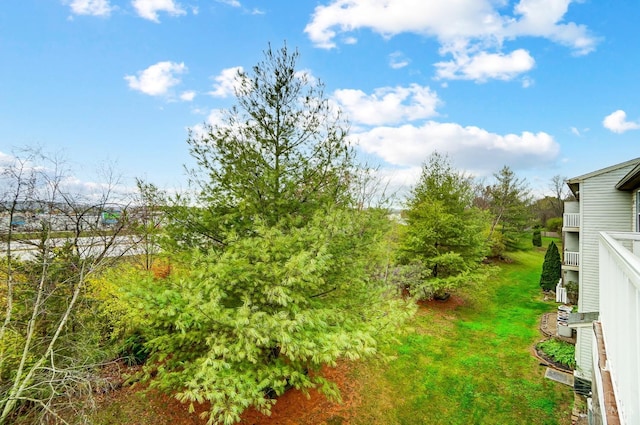 10350 W Rd Unit 34, Harrison, OH 45030 - view of yard
