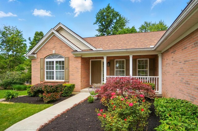 7785 Dew Drop Cir, Hamilton Twp, OH 45039 - entrance to property with brick siding, a porch, and a shingled roof