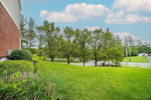 5509 Windmere Dr, Green Twp, OH 45248 - view of yard