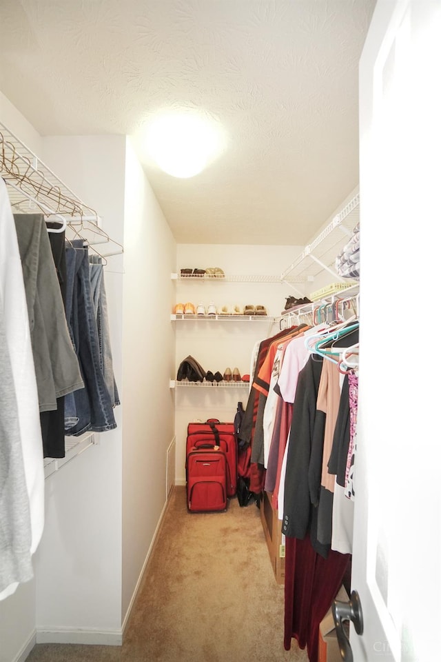5509 Windmere Dr, Green Twp, OH 45248 - walk in closet with carpet floors